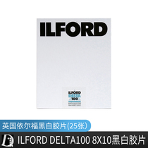Black and white First Room YielfoilFORD Delta100 8 × 10 sheet pieces (25 sheets)