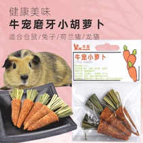 Cow pet radish 3 into hand-roasted rabbit ChinChin guinea pig carrot pasture molars snack