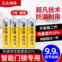 Double deer fingerprint lock special battery No 5 electronic lock Hotel password smart door lock spare No 5 battery Household