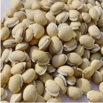 Medicinal white lentils for removing wet and boiled porridge farmers selected large white lentils large grain new stock can be fried with cooked Chinese herbal medicine 500g grams