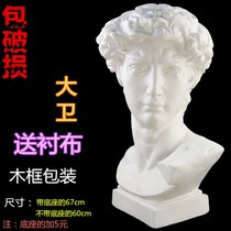 Art Test art supplies sketching teaching aids David plaster bust head sketch supplies set decorative sculpture