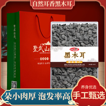 Shengwu Shanzhen Shennongjia black fungus autumn fungus 500g boxed Hubei specialty dry goods