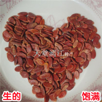 Paradise Lijiang Guilin specialty new goods original raw red melon seeds farm red watermelon seeds full