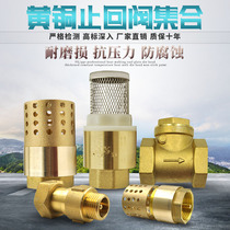 Brass horizontal vertical filter check valve Swing water meter Front check valve Return valve Check valve Copper bottom valve