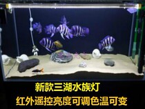 Star Pool * 9% discount * Remote control color temperature adjustable three lakes cichlid Sai six South American diving fish tank lights