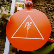 Mushroom Records Latest Shelf Tiger Howling Spring Tiger Character Coaster Produced by Mushroom Shoot And Send Not Single Shot