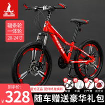 Phoenix Childrens Bike Mountain 20 22 24-inch Variable Speed Boys and Girls Student Youth Cycling Middle School