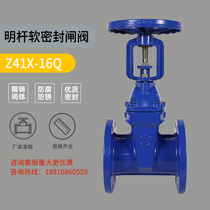 Shanghai Biaoyi valve Z41T-16Q protective open rod gate valve ductile valve body DN50 DN100 DN150