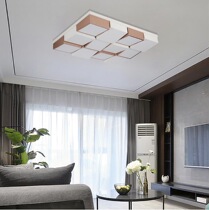 Set of Reese Lighting Modern Style Living Room Restaurant Set of Living Room