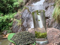 White tea fragrant tea 2021 new tea before rain Alpine cloud green tea tea farmers direct 125g bulk