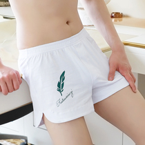 3 panties men Aro pants boxer briefs pure cotton summer thin section plus size loose home boxers shorts