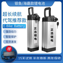 Driving electric car lithium battery 48V silver fish Haiba electric bicycle battery 48v Universal lithium battery 20ah