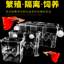 Fish tank isolation box Guppy incubation box box Tropical fish small fish juvenile fish breeding box King-size spawning room independent