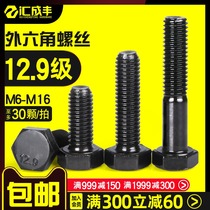 12 Grade 9 hexagon screw High strength outer hexagon bolt lengthened black screw M6M8M10M12M14M16