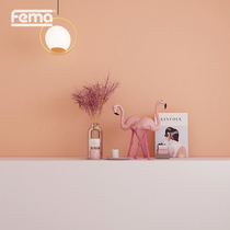 German Fima original imported art paint paint whole house wall custom Moordos series