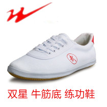 Martial arts shoes special martial arts shoes Qingdao double star martial arts cloth shoes training children Taijiquan shoes beef tendon bottom