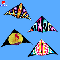 New Feiyue 1 Flat Colorful Breeze Easy Flying Triangle Kite for Adult Children Cartoon Kite