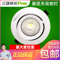 Sanxiong Aurora led ceiling spotlight star maker COB Eagle Eye elephant nose rotating clothing jewelry set light 25W35W black and white