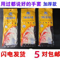 Xuelian nitrile Guangli gloves White food grade rubber latex housework dishwashing beauty fish killing high temperature resistant nitrile