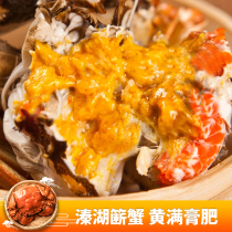 Duoma preferred Qinhu crab hairy crab male crab 3-4 two female crabs 2-3 two Shunfeng