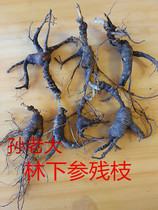 Sun Dao Lin Xia ginseng old pond seed goods residual branches stewed chicken wine fresh rust ginseng 15-30 years Wild