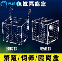 Small fish isolation net separator Betta box Large baffle incubation box Yake breeding separation box Fish tank box suction cup