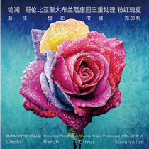 Platinum Blue Pink summer triple processing boutique hand-washed coffee beans fresh light roasted substitute grinding powder
