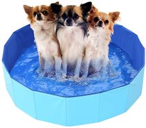 Dog bath tub-free inflatable folding pet swimming pool Duck Tub medium large dog golden retriever cat sand