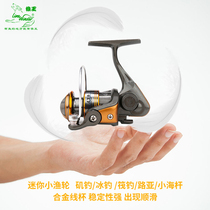 Wolf King Micro-material Road sub-wheel Gap-free fishing wheel Raft 500 Makou Wheel Small Sea Pole Spinning Wheel