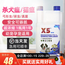 x5 disinfectant pet special dog deodorant cat plague Cat Moss cat sterilization deodorant de urine spray mop floor