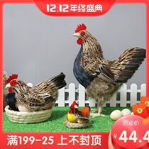 Simulation chicken model Rooster specimen hen ornament supermarket decoration props native chicken laying hens toy hen ornaments