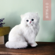 Simulation animal Cat childrens plush toys can call the cat doll Pet model specimen handicraft ornaments