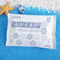 Anti-condensate biological ice bag 250g food fruit seafood cold storage Aviation non-woven fabric ice bag