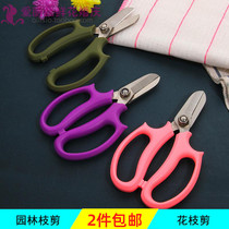 Repair Flowers Branch Cut Gardening Flower Stem Scissors Twigs Cut Stainless Steel Flower Shop Scissors Tool Auxiliary Supplies Packaging Material