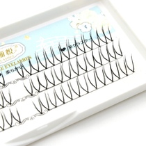 The Phantom Delight fd22 Womens Group Fake Eyelash Sectional Mill Tip False Eyelash Transparent Fish Wire Stalk Natural Lengthened