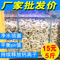 Aquarium fish tank filter material filter sea water tank filter material coral bone coral sand bottom sand landscaping stone Philippine sand