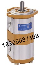 CBWL-E304 E306 E310 E314 E316 E320-ALP CFP Hefei Changyuan Hydraulic Gear Pump