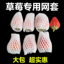 Strawberry Special Network Cover Shockproof Foam Hawthorn Eggs Macaque Peach Express Anti-Thickening Grid Mesh Pocket Fruit Net