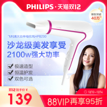 Philips Salon Class Speed Dry Electric Hair Dryer Home Barber Shop Special High Power Speed Dry Air Duct HP8230