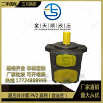 High pressure vane pump