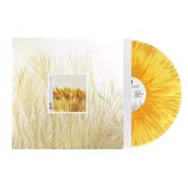 Pre-sale:Park Tree I Go 2000 12 inch vinyl LP Yellow Splash color