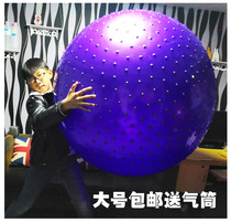 110CM100CM Childrens sensory training dragon ball 1 meter 1 early childhood education ball Plus size fitness yoga ball