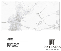 PADARA Twilight Snow 983301R Italy Imported Tiles