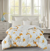 AIRLAND Yalan Huayan Tale Core