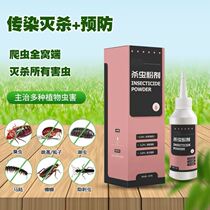 Insect-proof room insecticide-proof home indoor anti-centipede Ant tide-removing insect powder on the first floor insect repellent products