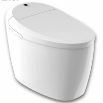 Smart toilet IT-627M (online deposit details please consult customer service)