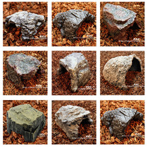 Tortoise Cave Tortoise Box Landscaping Scenic Scene Climbing Scandal Cave Large Lizard Snake Cave