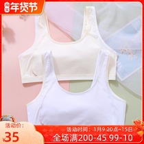Cotton girl bra Primary School students sweat absorption upper support development budding period 8-13 years old middle school vest underwear chest