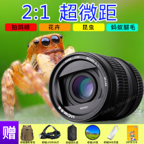 Old Frog 60 mm2:1 65 f2 8 2X Microscope Microscope Mirror Portrait Lens Insect Compound Eye Flower Dental