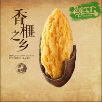 (Half price) new Torreya Torreya Fengqiao Torreya bag 500g gift box nut gift bag